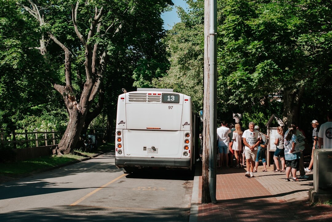 Seniors boarding a tour bus for a group excursion