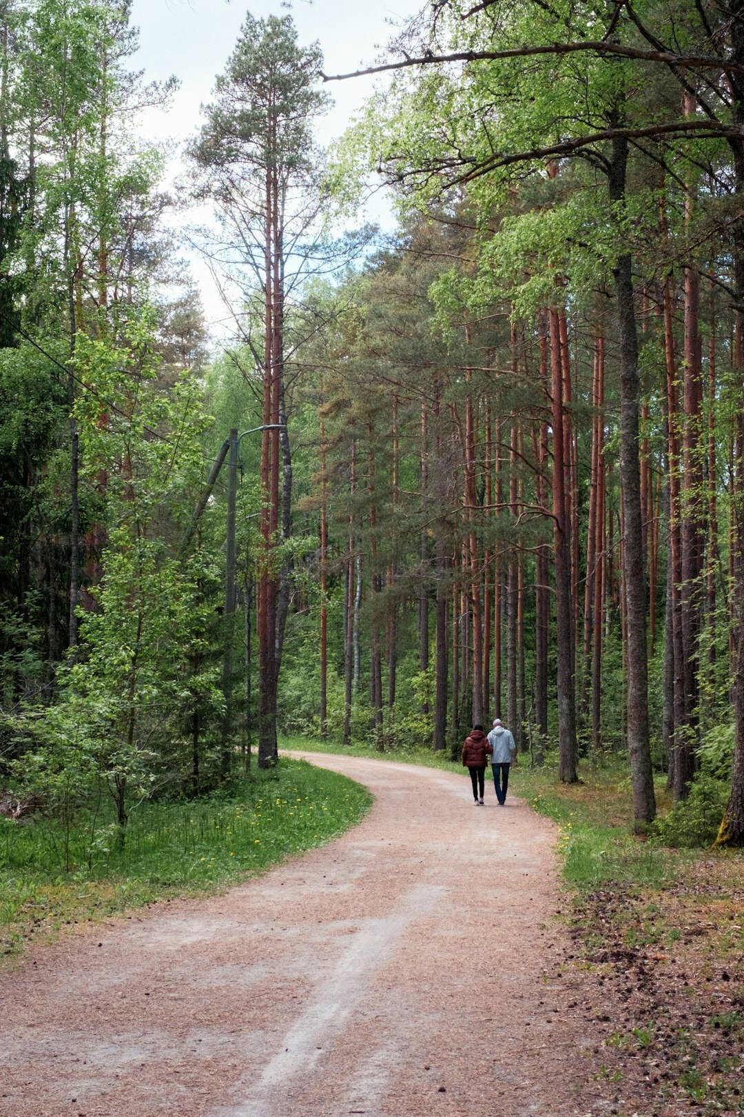 elderly couple walking in nature